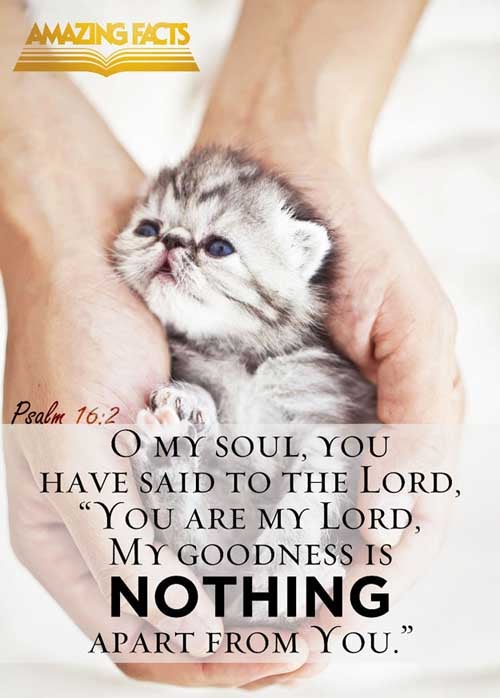 O my soul, thou hast said unto the LORD, Thou art my Lord: my goodness extendeth not to thee; (Psalms 16:2)