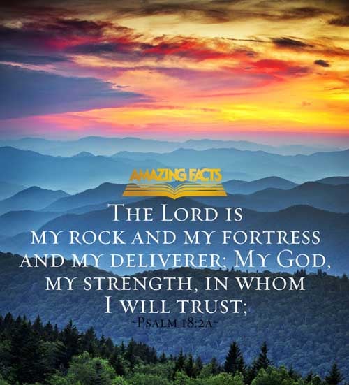 The LORD is my rock, and my fortress, and my deliverer; my God, my strength, in whom I will trust; my buckler, and the horn of my salvation, and my high tower. (Psalms 18:2)