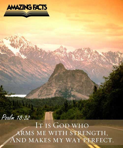 It is God that girdeth me with strength, and maketh my way perfect. Psalms 18:32