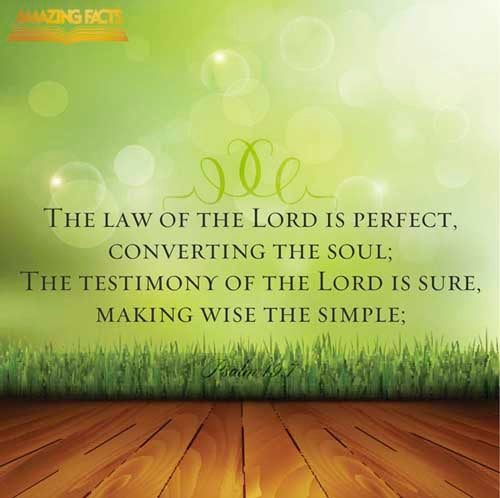 The law of the LORD is perfect, converting the soul: the testimony of the LORD is sure, making wise the simple. (Psalms 19:7)