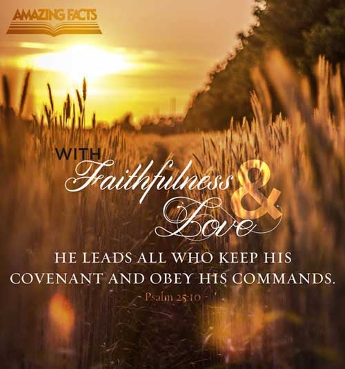 All the paths of the LORD are mercy and truth unto such as keep his covenant and his testimonies. (Psalms 25:10)