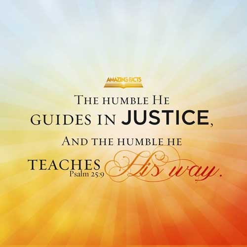 The meek will he guide in judgment: and the meek will he teach his way. (Psalms 25:9)