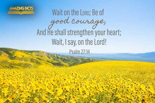 Wait on the LORD: be of good courage, and he shall strengthen thine heart: wait, I say, on the LORD. Psalms 27:14