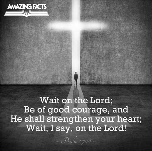 Wait on the LORD: be of good courage, and he shall strengthen thine heart: wait, I say, on the LORD. (Psalms 27:14)
