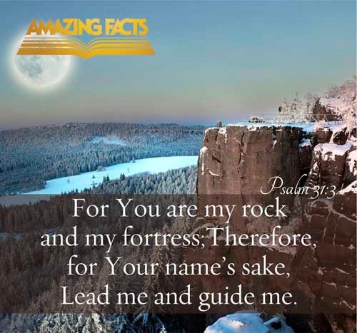 For thou art my rock and my fortress; therefore for thy name's sake lead me, and guide me. Psalms 31:3