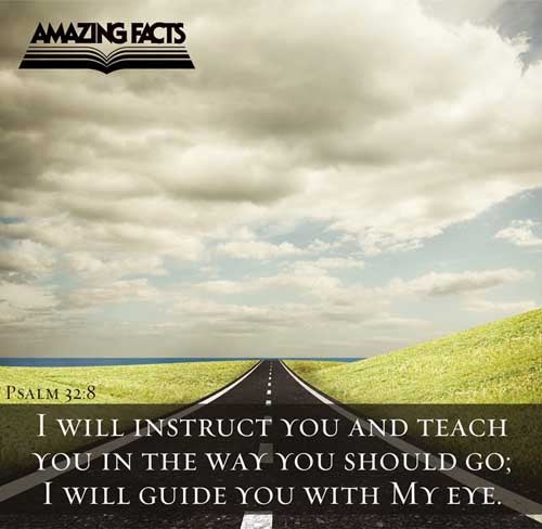 I will instruct thee and teach thee in the way which thou shalt go: I will guide thee with mine eye. Psalms 32:8