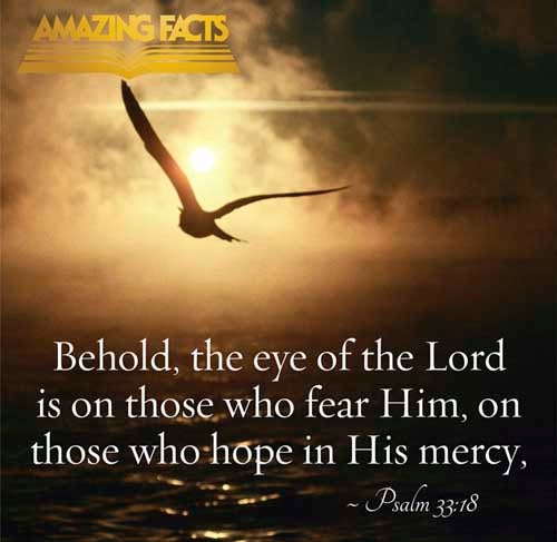 Behold, the eye of the LORD is upon them that fear him, upon them that hope in his mercy; Psalms 33:18