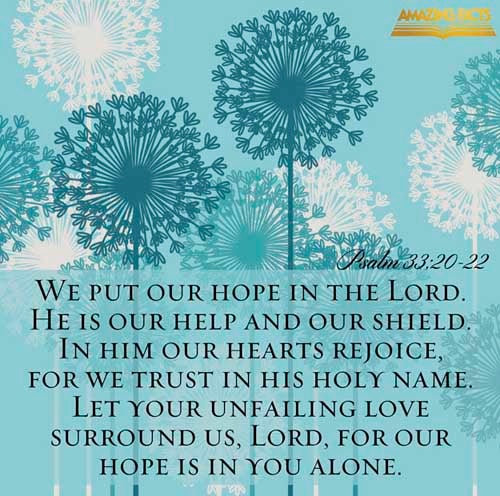 Our soul waiteth for the LORD: he is our help and our shield. For our heart shall rejoice in him, because we have trusted in his holy name. Let thy mercy, O LORD, be upon us, according as we hope in thee. (Psalms 33:20-22)