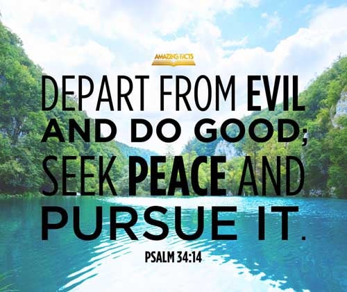 Depart from evil, and do good; seek peace, and pursue it. Psalms 34:14