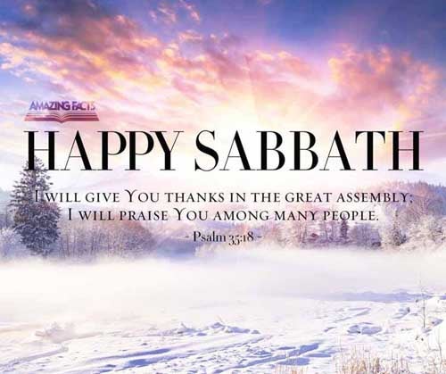 I will give thee thanks in the great congregation: I will praise thee among much people. Psalms 35:18