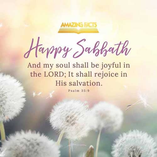 And my soul shall be joyful in the LORD: it shall rejoice in his salvation. Psalms 35:9