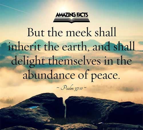 But the meek shall inherit the earth; and shall delight themselves in the abundance of peace. Psalms 37:11