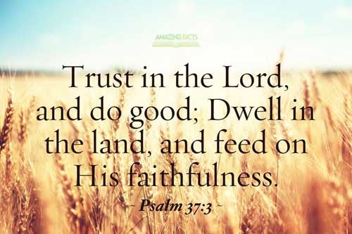 Trust in the LORD, and do good; so shalt thou dwell in the land, and verily thou shalt be fed. Psalms 37:3