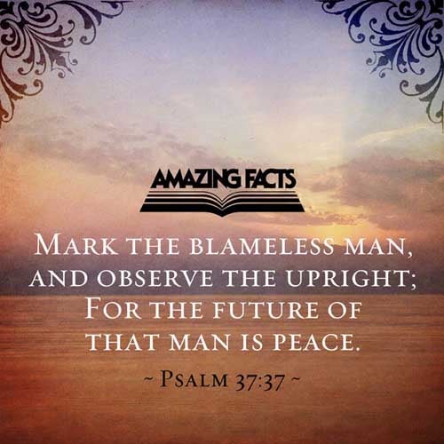 Mark the perfect man, and behold the upright: for the end of that man is peace. (Psalms 37:37)