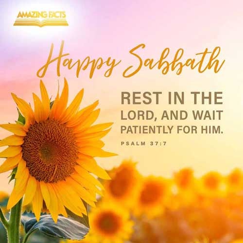 Rest in the LORD, and wait patiently for him: fret not thyself because of him who prospereth in his way, because of the man who bringeth wicked devices to pass. Psalms 37:7