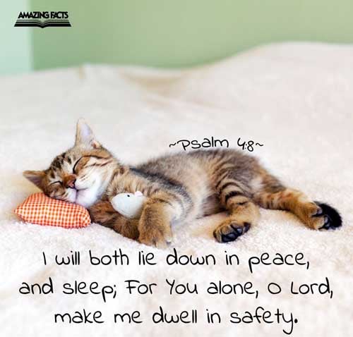 I will both lay me down in peace, and sleep: for thou, LORD, only makest me dwell in safety. Psalms 4:8
