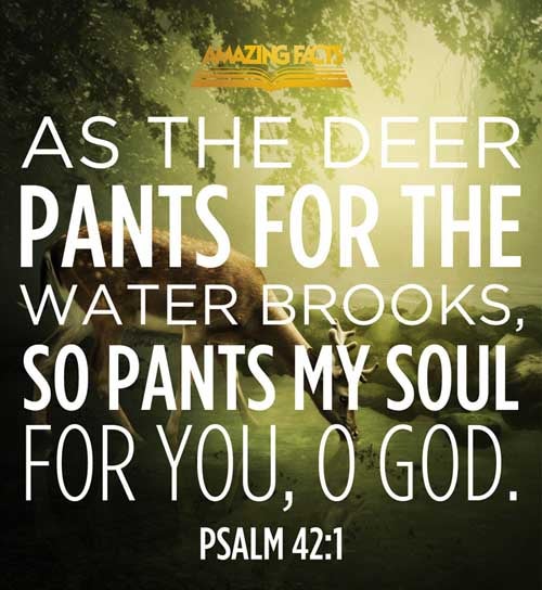 As the hart panteth after the water brooks, so panteth my soul after thee, O God. Psalms 42:1