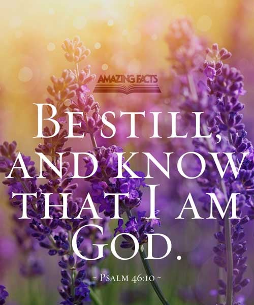 Be still, and know that I am God: I will be exalted among the heathen, I will be exalted in the earth. Psalms 46:10