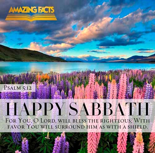 For thou, LORD, wilt bless the righteous; with favour wilt thou compass him as with a shield. (Psalms 5:12)