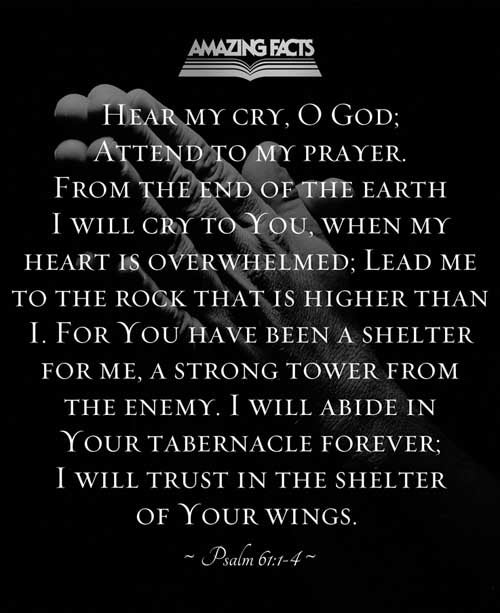 Hear my cry, O God; attend unto my prayer. From the end of the earth will I cry unto thee, when my heart is overwhelmed: lead me to the rock that is higher than I. For thou hast been a shelter for me, and a strong tower from the enemy. I will abide in thy tabernacle for ever: I will trust in the covert of thy wings. Selah. Psalms 61:1-4