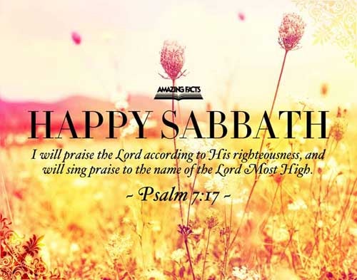 I will praise the LORD according to his righteousness: and will sing praise to the name of the LORD most high. Psalms 7:17