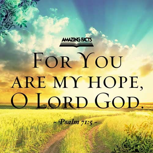For thou art my hope, O Lord GOD: thou art my trust from my youth. Psalms 71:5