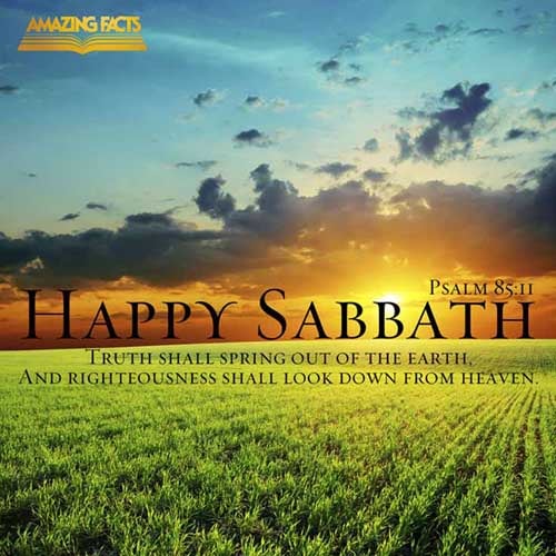 Truth shall spring out of the earth; and righteousness shall look down from heaven. (Psalms 85:11)