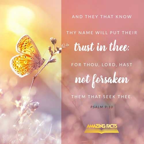 And they that know thy name will put their trust in thee: for thou, LORD, hast not forsaken them that seek thee. Psalms 9:10