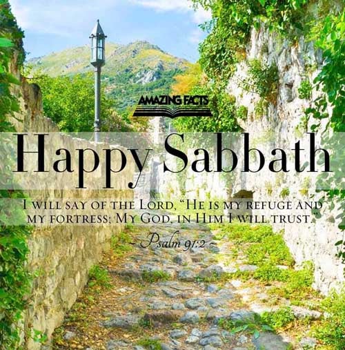 I will say of the LORD, He is my refuge and my fortress: my God; in him will I trust. Psalms 91:2