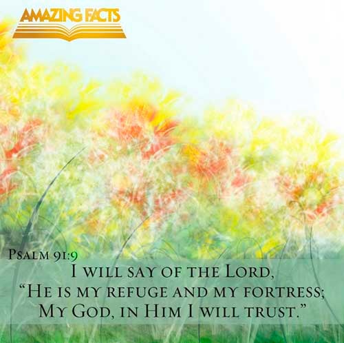 Because thou hast made the LORD, which is my refuge, even the most High, thy habitation; Psalms 91:9