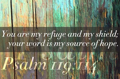 Thou art my hiding place and my shield: I hope in thy word. (Psalms 119:114)