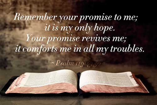 ZAIN. Remember the word unto thy servant, upon which thou hast caused me to hope. This is my comfort in my affliction: for thy word hath quickened me. (Psalms 119:49-50)