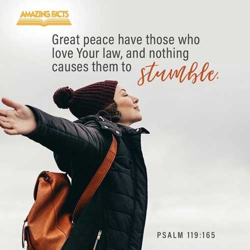 Great peace have they which love thy law: and nothing shall offend them. Psalms 119:165