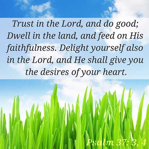 Psalms 37:3-4 (3) Trust in the LORD, and do good; so shalt thou dwell in the land, and verily thou shalt be fed. (4) Delight thyself also in the LORD; and he shall give thee the desires of thine heart.