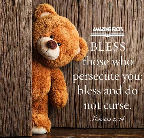 Bless them which persecute you: bless, and curse not. Romans 12:14