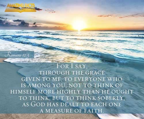 For I say, through the grace given unto me, to every man that is among you, not to think of himself more highly than he ought to think; but to think soberly, according as God hath dealt to every man the measure of faith. Romans 12:3
