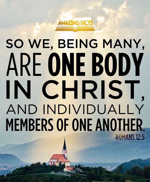 So we, being many, are one body in Christ, and every one members one of another. Romans 12:5