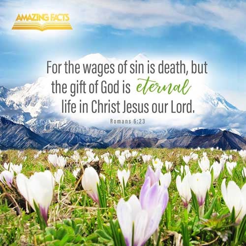 For the wages of sin is death; but the gift of God is eternal life through Jesus Christ our Lord. Romans 6:23