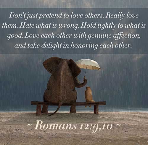 Romans 12:9-10 (9) Let love be without dissimulation. Abhor that which is evil; cleave to that which is good. (10) Be kindly affectioned one to another with brotherly love; in honour preferring one another;