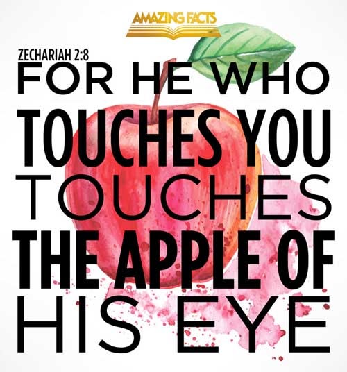 For thus saith the LORD of hosts; After the glory hath he sent me unto the nations which spoiled you: for he that toucheth you toucheth the apple of his eye. Zechariah 2:8