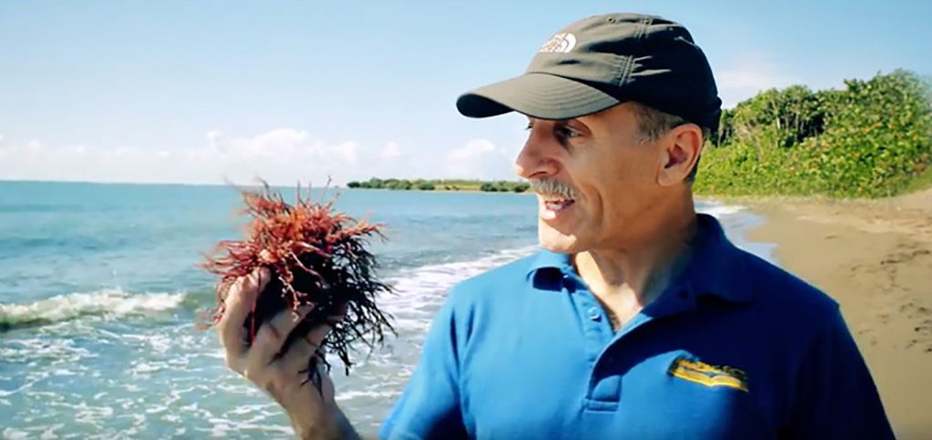 Datos sorprendentes sobre la fe — El mar de los Sargazos