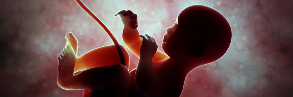 El fin de Roe contra Wade: ¿qué significa para los cristianos?