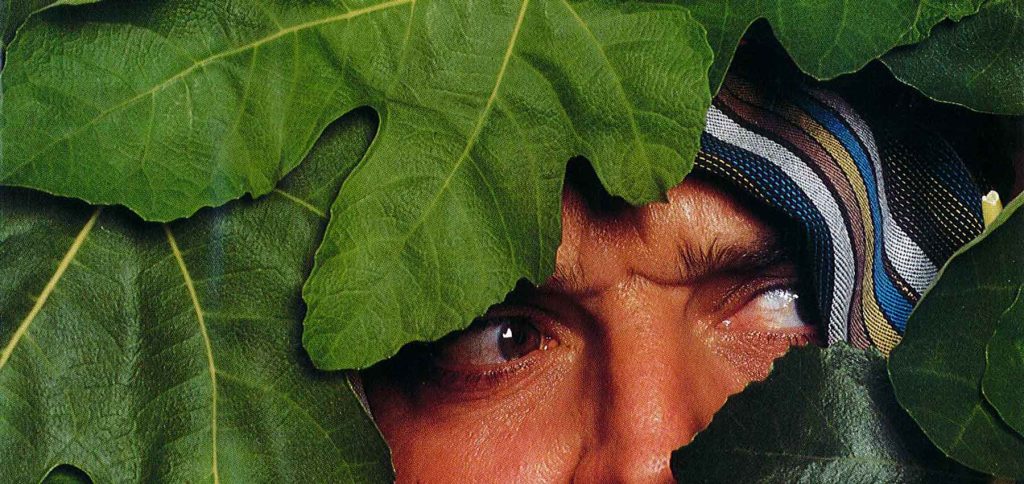 Листья смоковницы и фарисеи