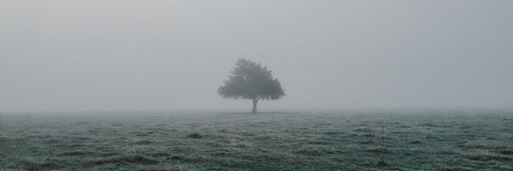 9 promessas bíblicas para quando você estiver se sentindo solitário