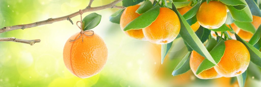 Comment être obéissant sans tomber dans le légalisme