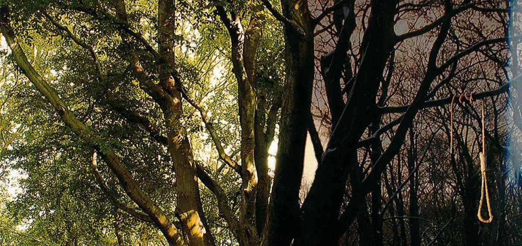 Bäume des Lebens und des Todes