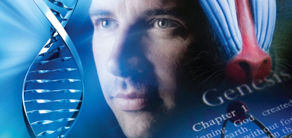 《圣经》与进化论