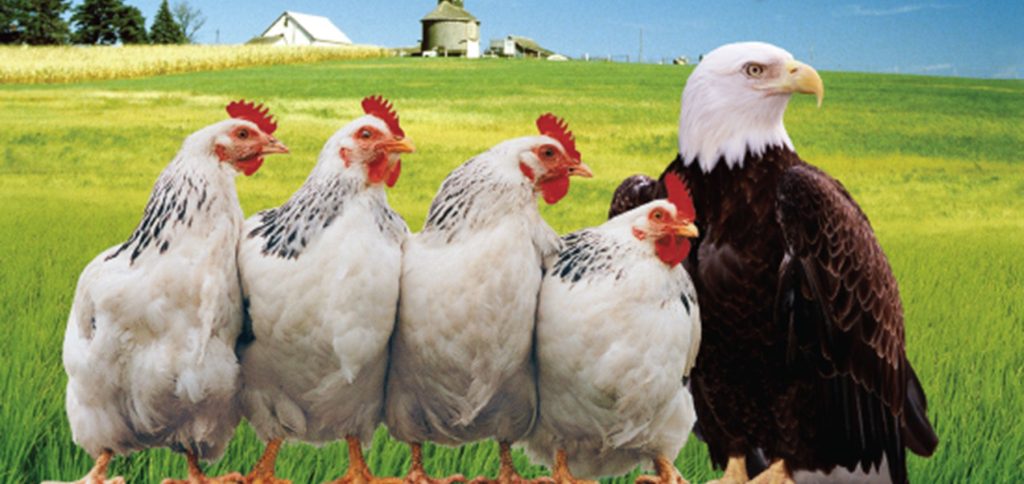 你以为你是谁？