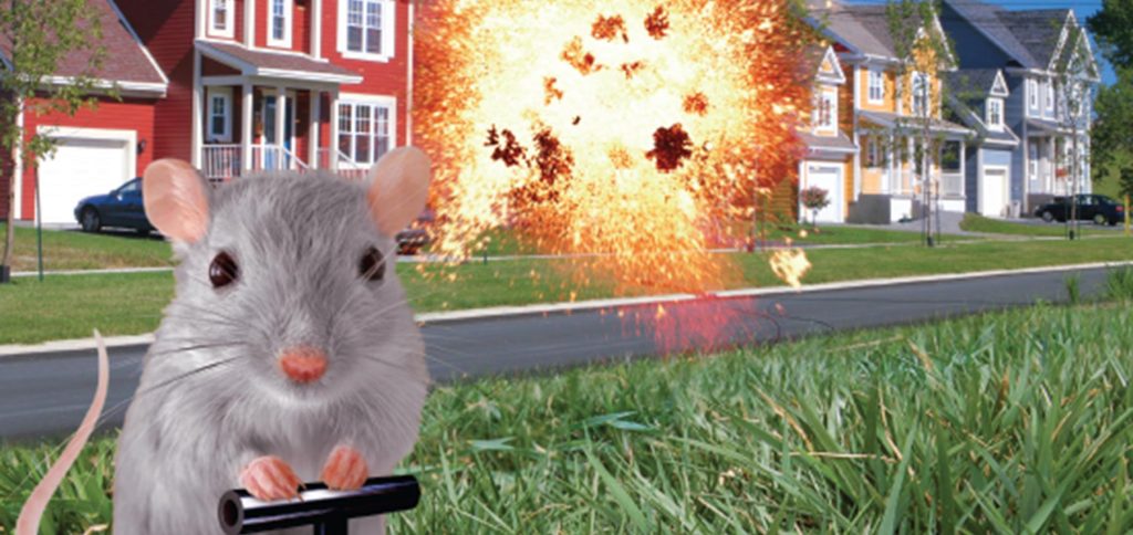 Kraften i de små sakerna