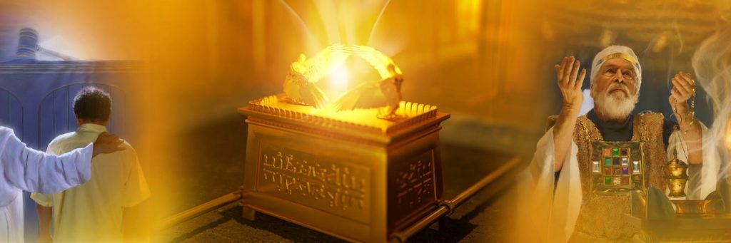 《奇妙圣所》：一场与众不同的“奇妙事实”活动